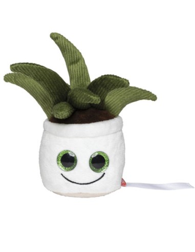 MBW-M160847-Schmoozies® Evergreenies® Aloe Vera